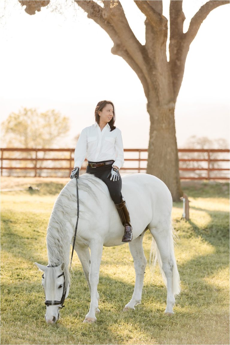 dressage photography