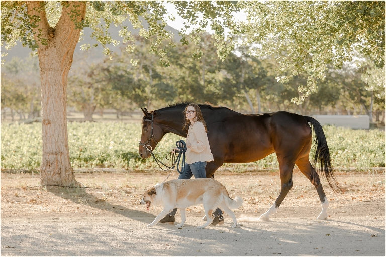 Buellton Horse Photography Session with Kasey, her horse and dog at Trinity Eventing by California Equine Photographer Elizabeth Hay Photography.