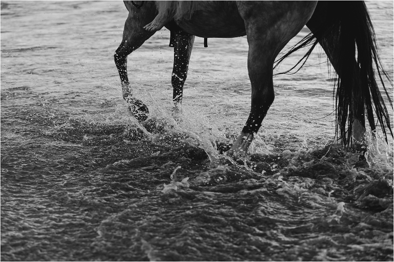 Horse walking through beach waves by California Equine Photographer Elizabeth Hay Photography