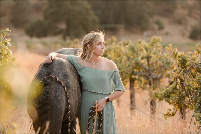 Central Coast Equine Photo session with Shayna and her young grey horse in a vineyard by California Equine Photographer Elizabeth Hay Photography.